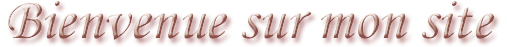 Bienvenue sur mon site
